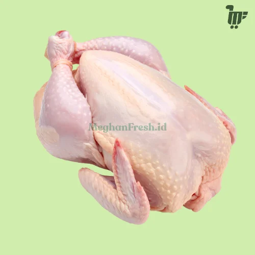 Ayam Utuh 700-800gr